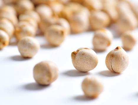 鹰嘴豆的营养价值有哪些?鹰嘴豆的功效是什么